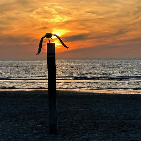 Kogerstaete Texel Hotel