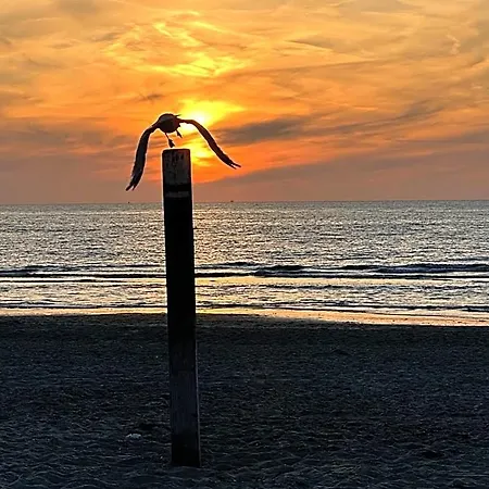 Kogerstaete Texel Hotel 4*