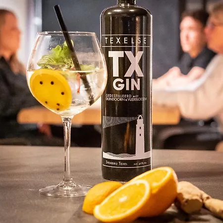 Kogerstaete Texel Hotel De Koog (Texel)